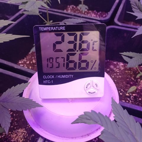 Milky Way #01 growlog timeline photo