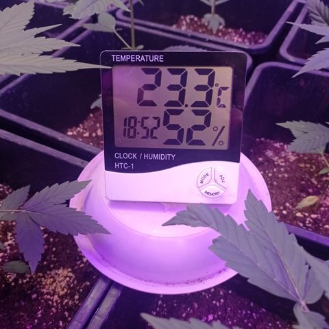 Milky Way #01 growlog timeline photo