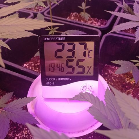 Milky Way #01 growlog timeline photo