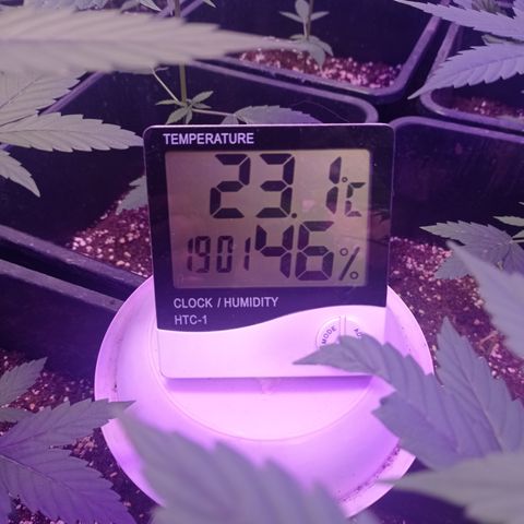 Milky Way #01 growlog timeline photo