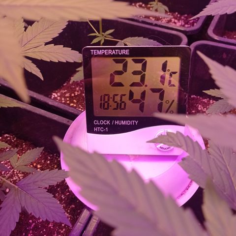 Milky Way #01 growlog timeline photo