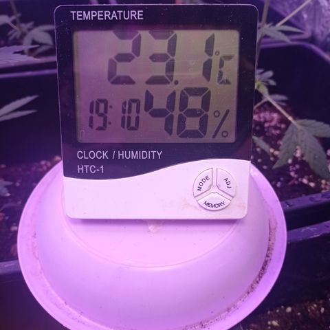 Milky Way #01 growlog timeline photo