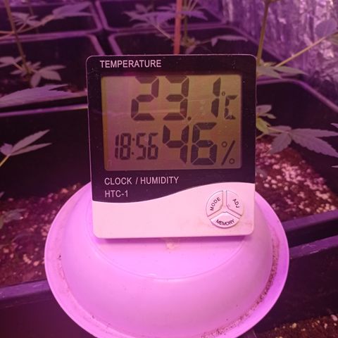 Milky Way #01 growlog timeline photo