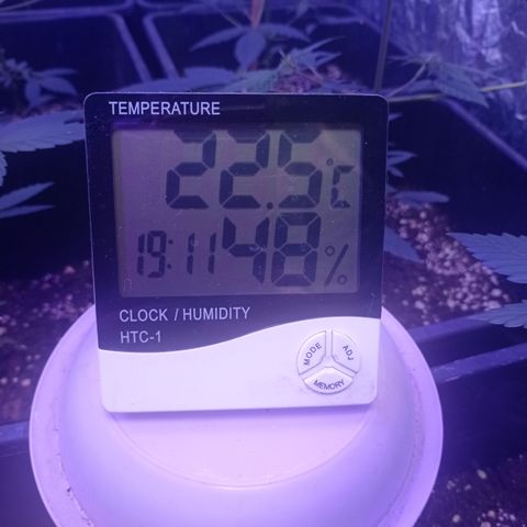 Milky Way #01 growlog timeline photo