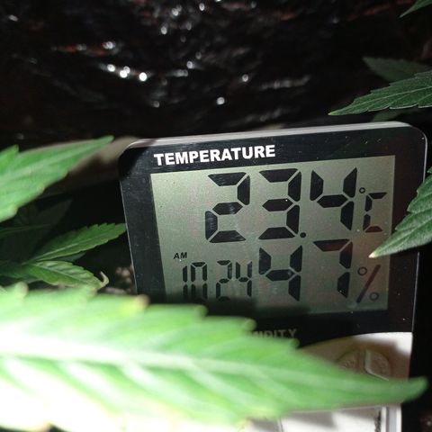 Milky Way #01 growlog timeline photo