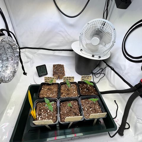 Nordlicht #2 growlog timeline photo