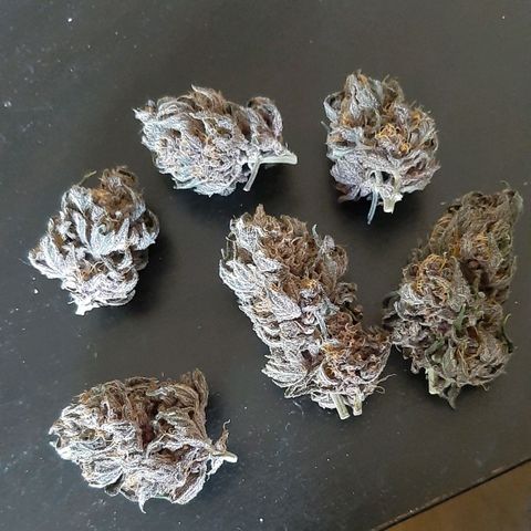 Laila  growlog photo: Lecker 😋 