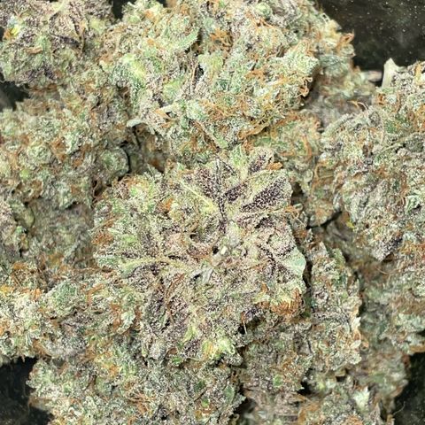 Cinderella  growlog timeline photo