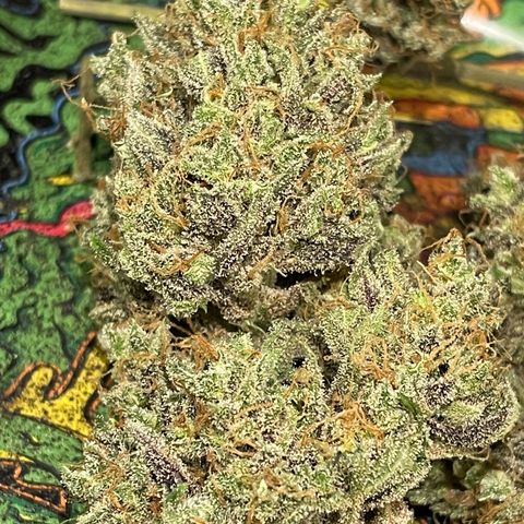 Cinderella  growlog timeline photo
