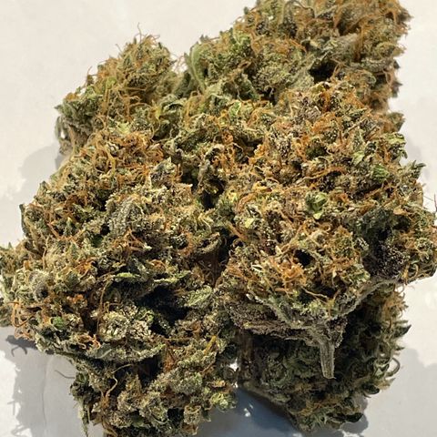 Cinderella  growlog timeline photo