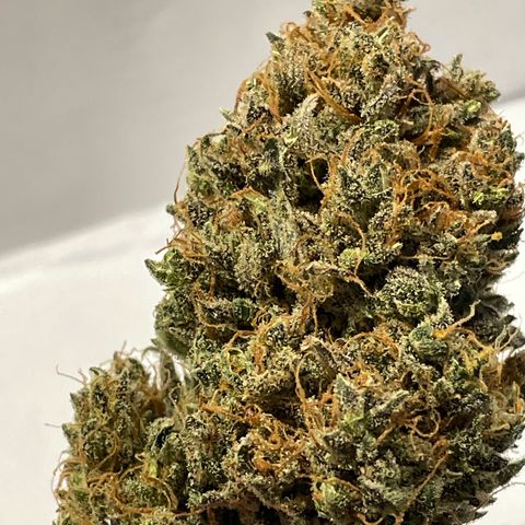 Cinderella  growlog timeline photo