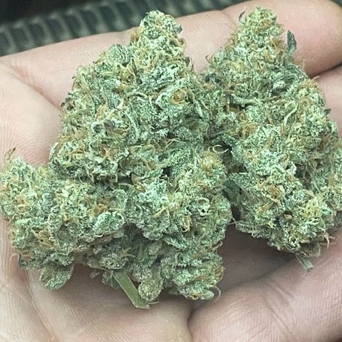 Cinderella  growlog timeline photo