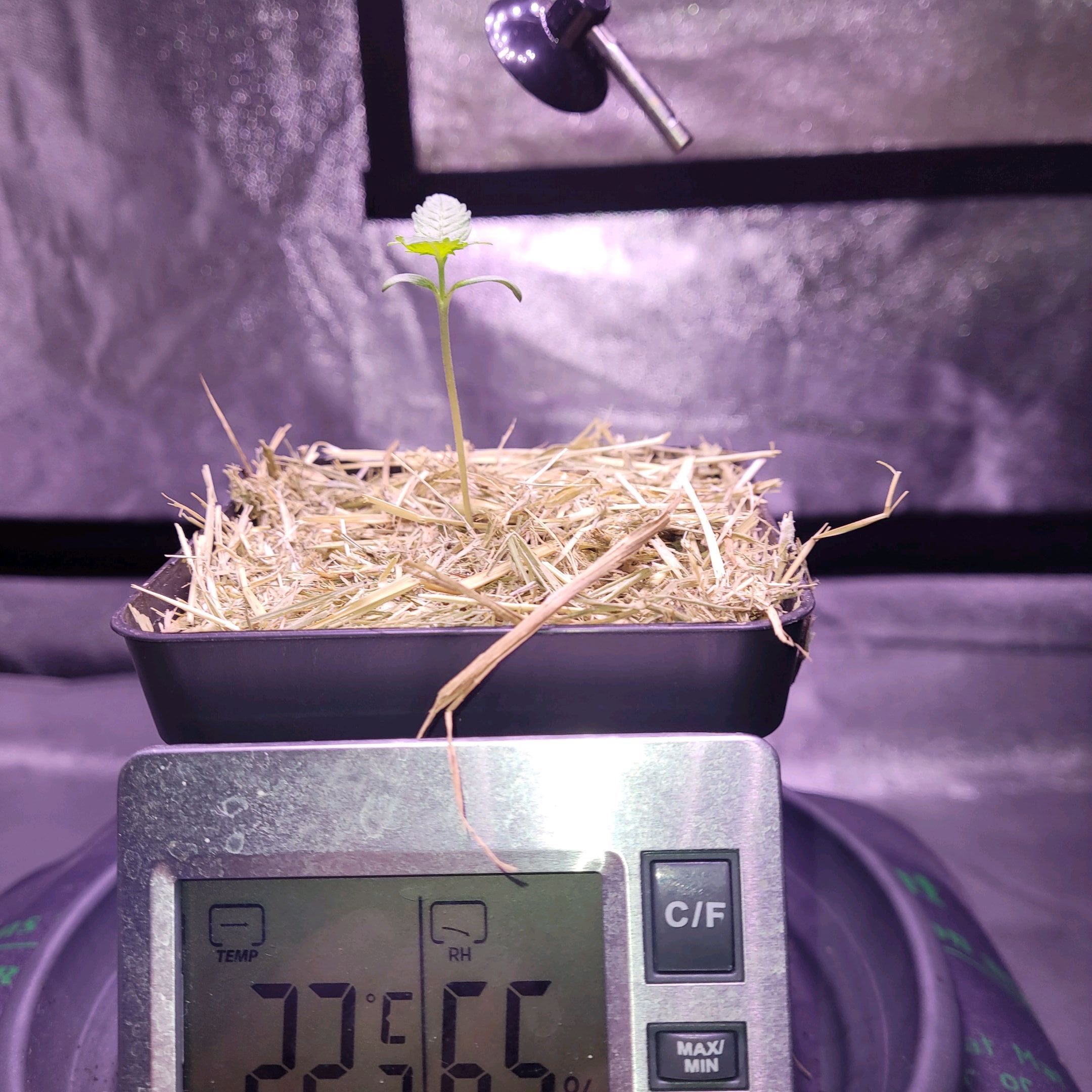 Anonymus growlog photo 6