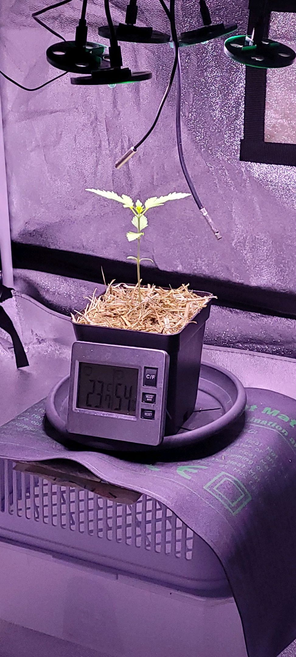 Anonymus growlog photo 14