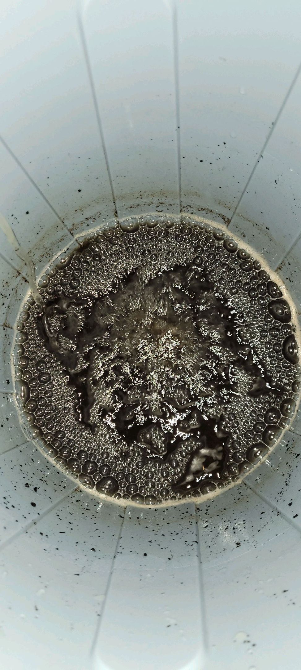 Anonymus growlog photo 27