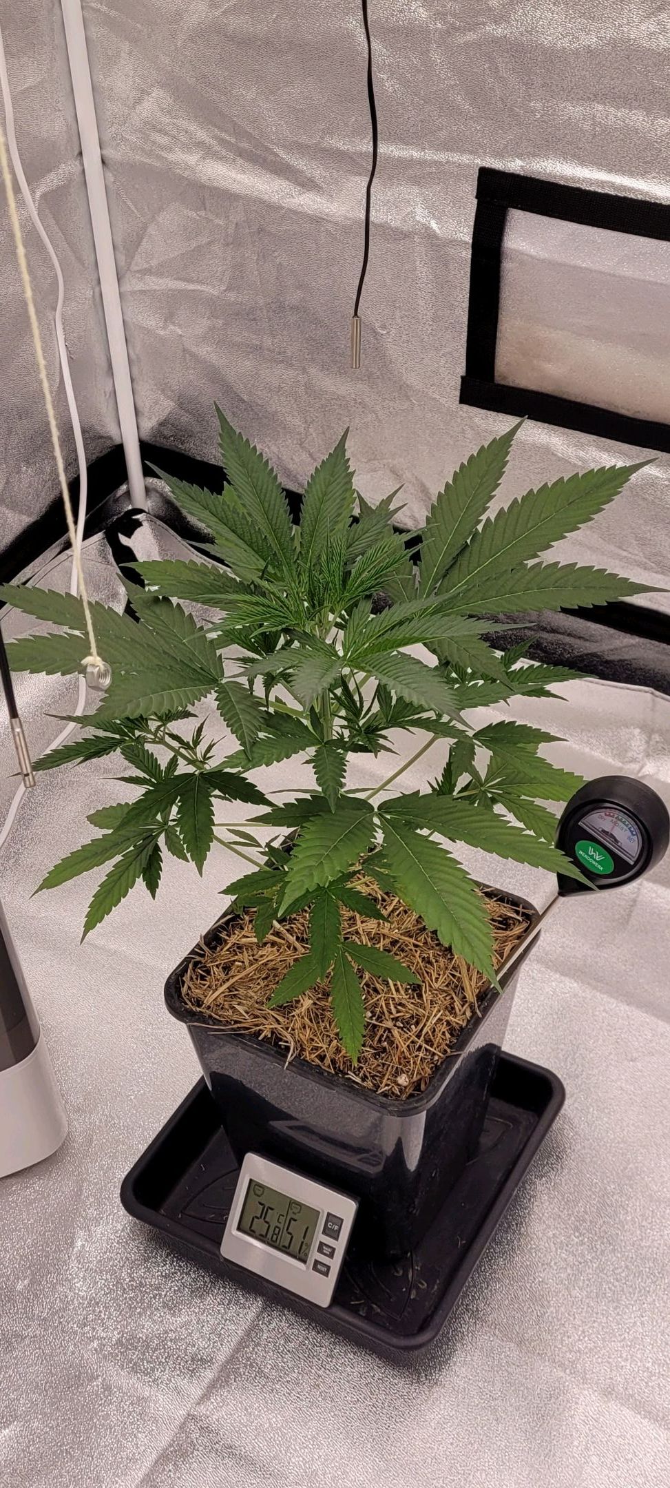 Anonymus growlog photo 44