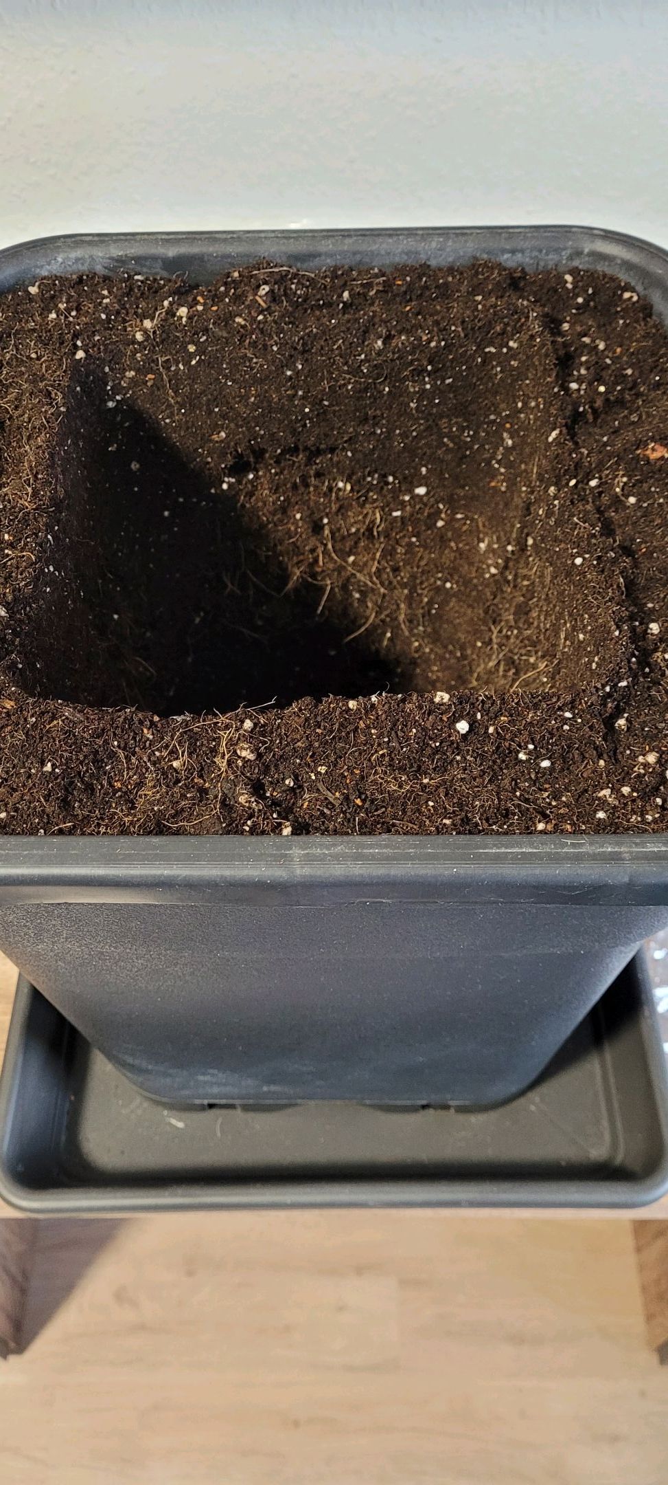 Anonymus growlog photo 49