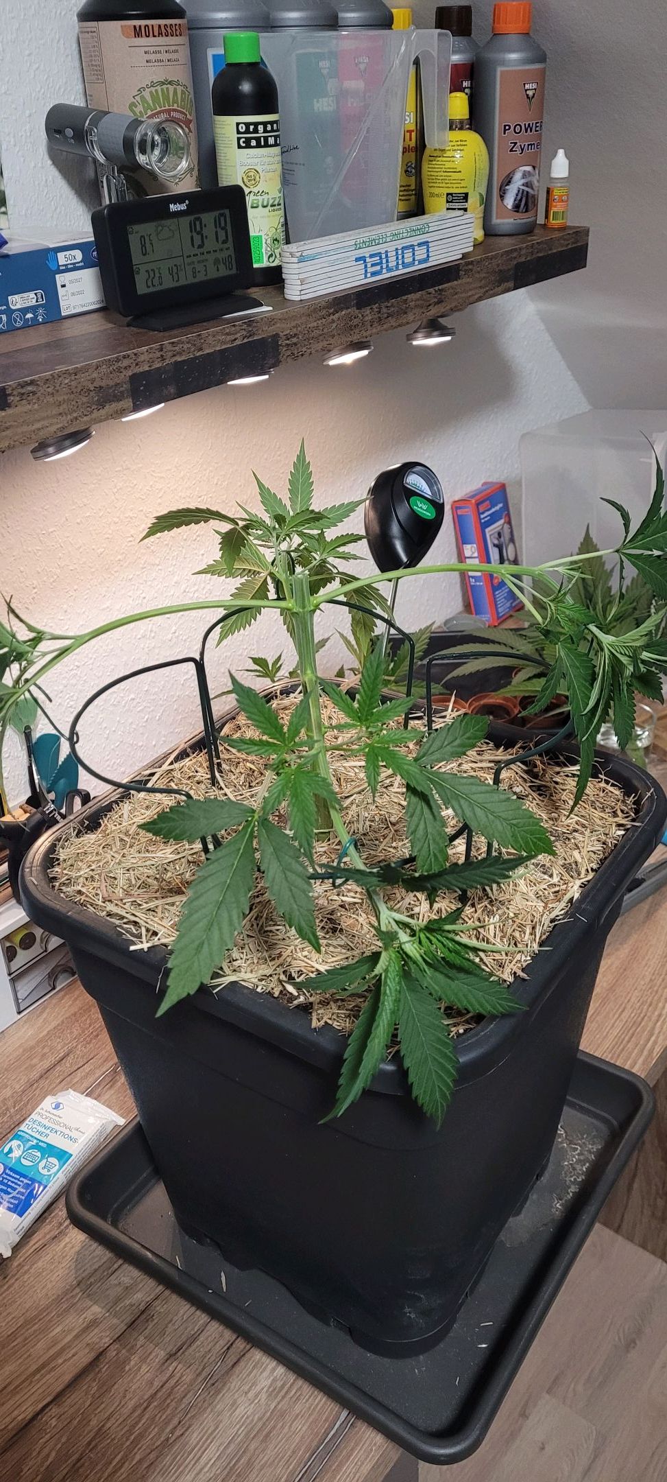 Anonymus growlog photo 55