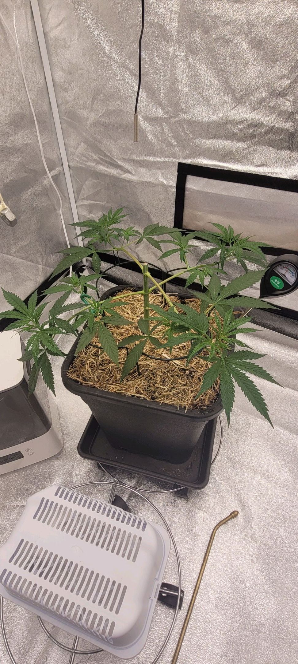 Anonymus growlog photo 59