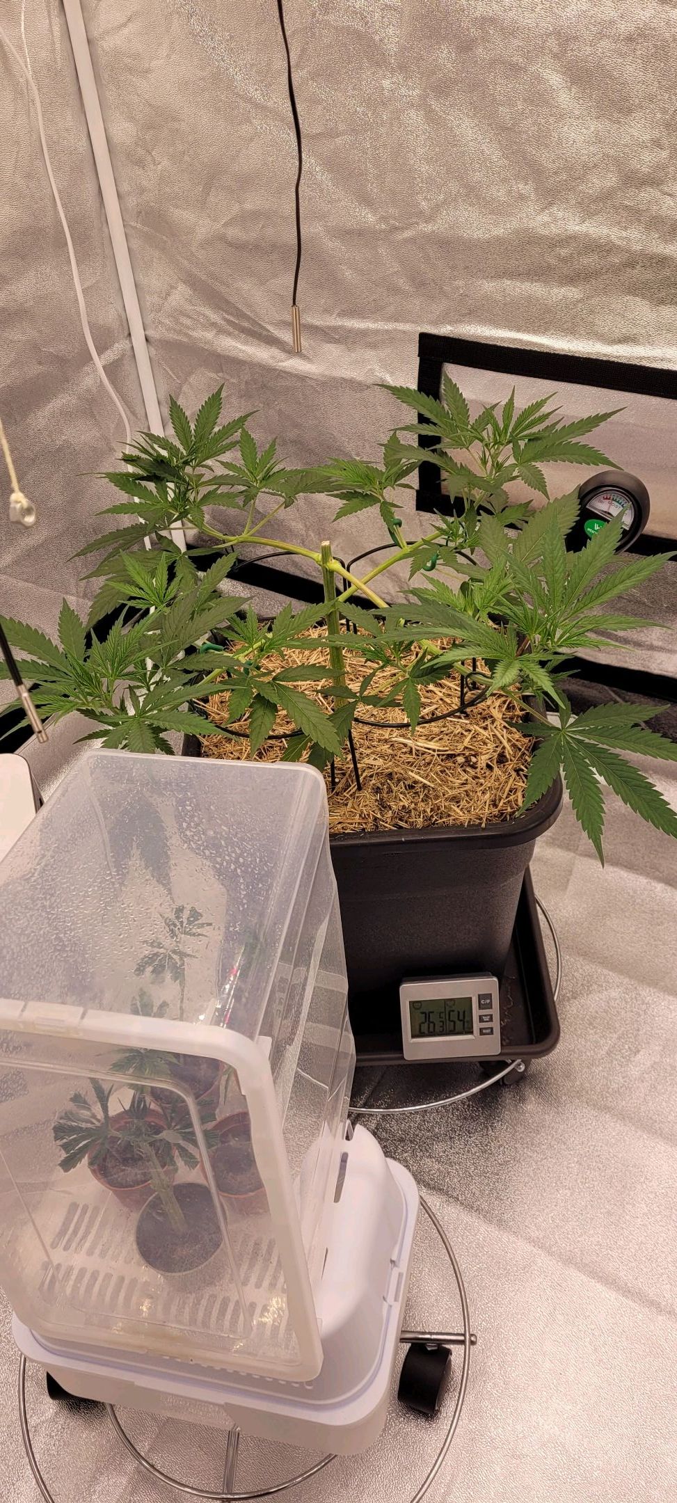 Anonymus growlog photo 62