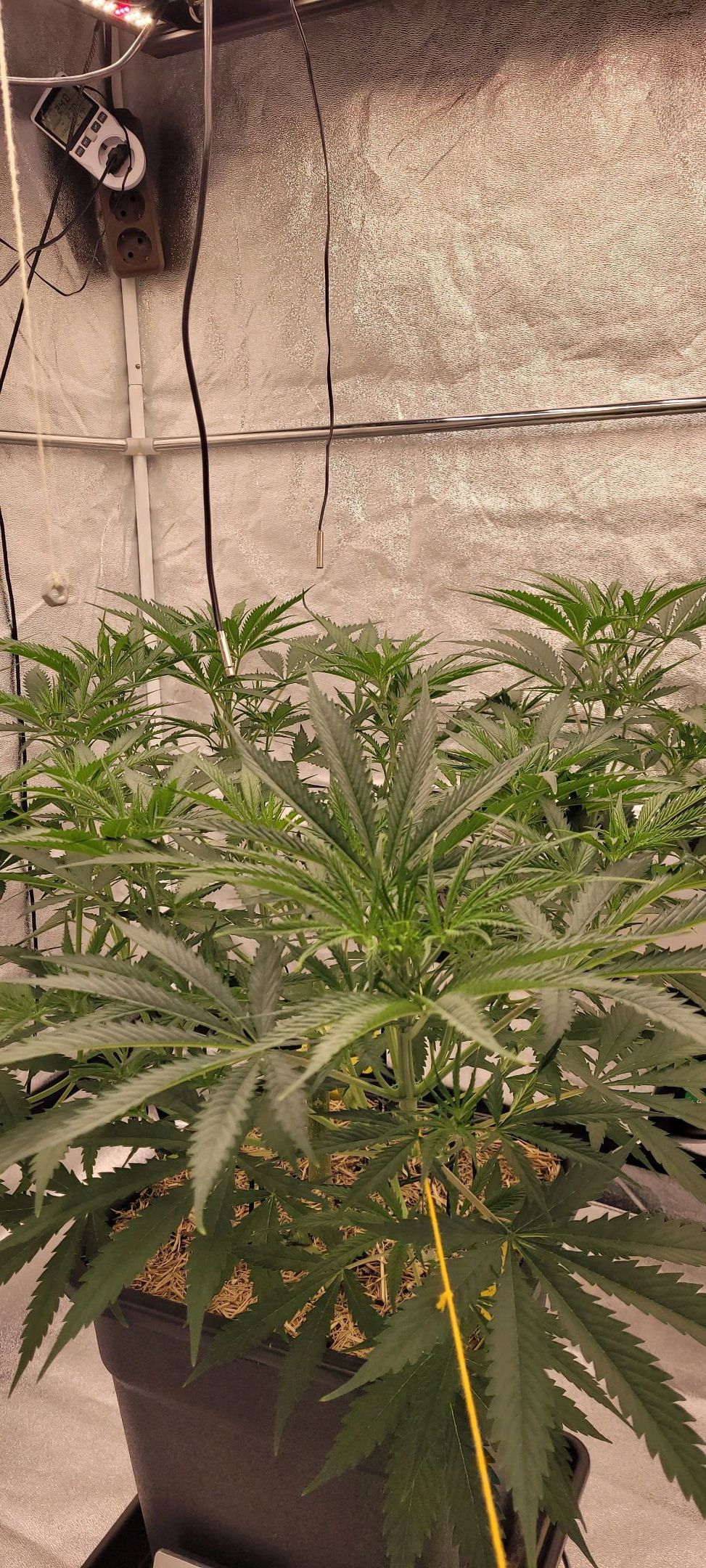 Anonymus growlog photo 79