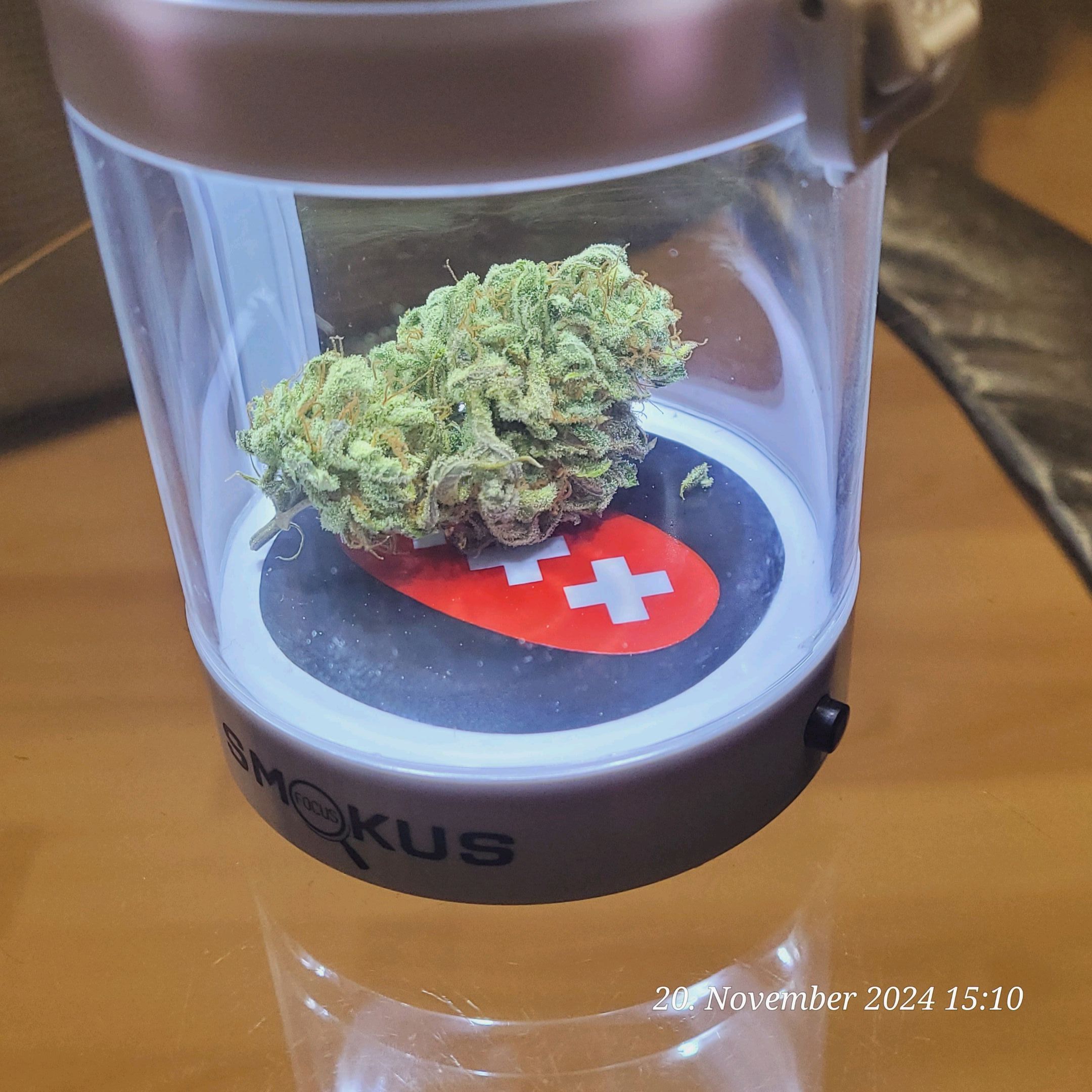 Lava Cake Klon #2 growlog photo 150