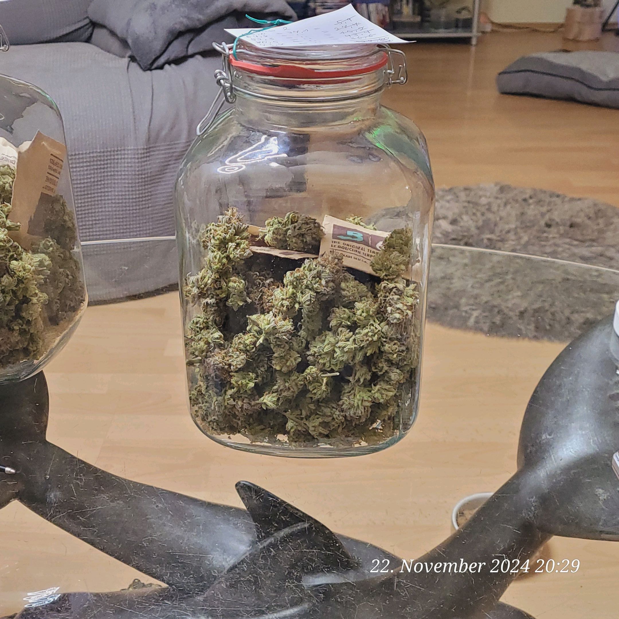 Lava Cake Klon #2 growlog photo 156