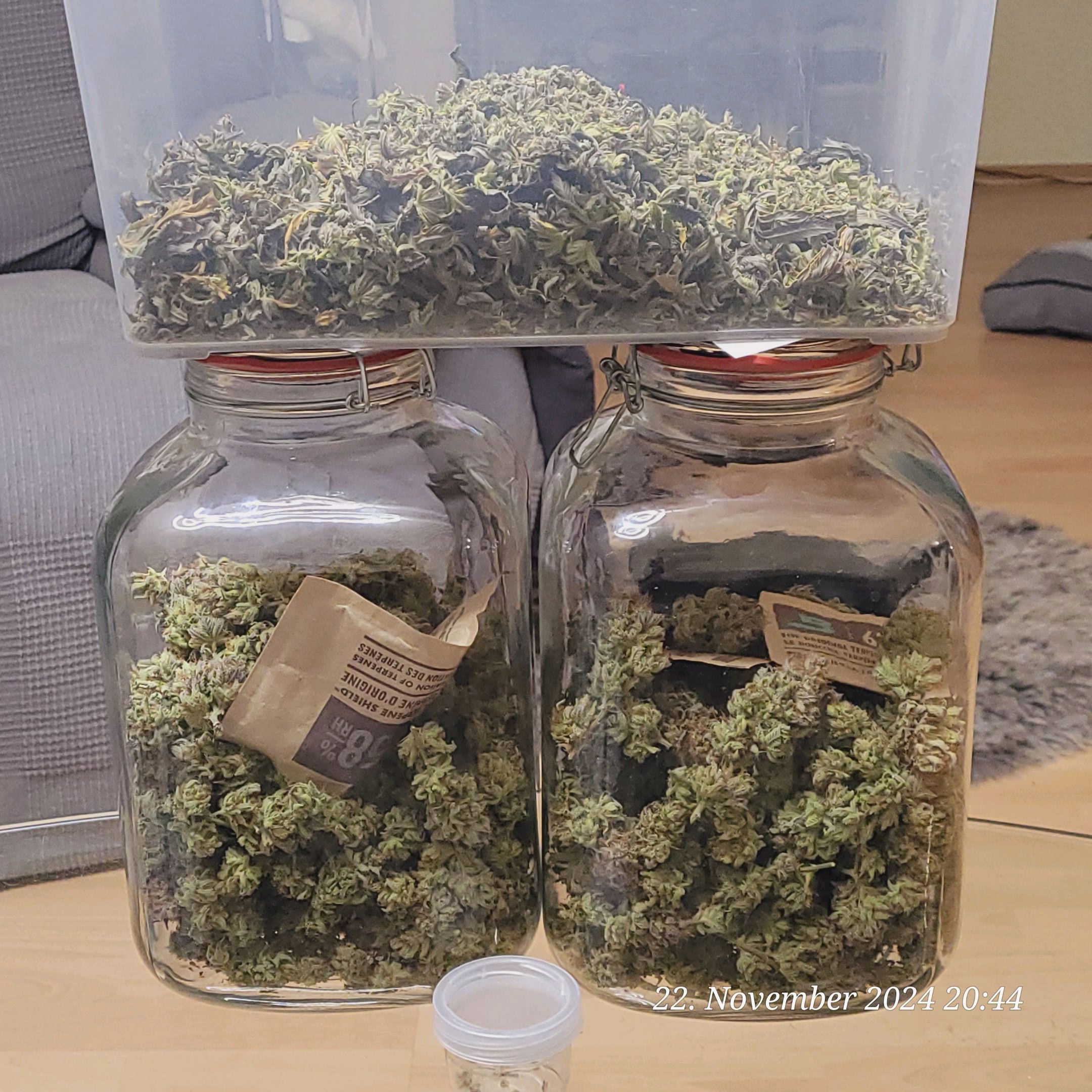 Lava Cake Klon #2 growlog photo 155