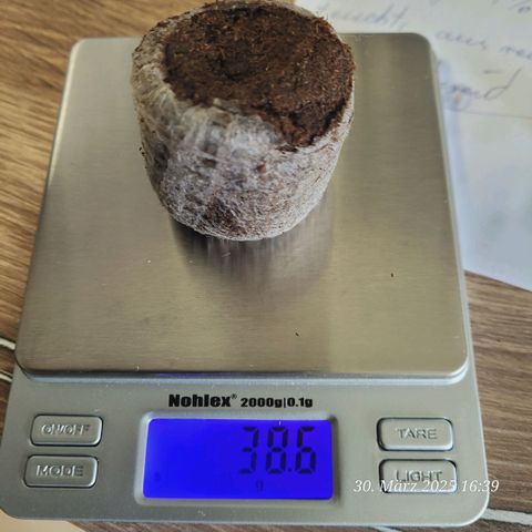 Gelato growlog photo