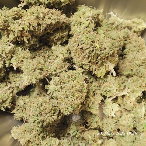 Lockdown Kloni growlog photo: So siehts mit der T Bowl aus 