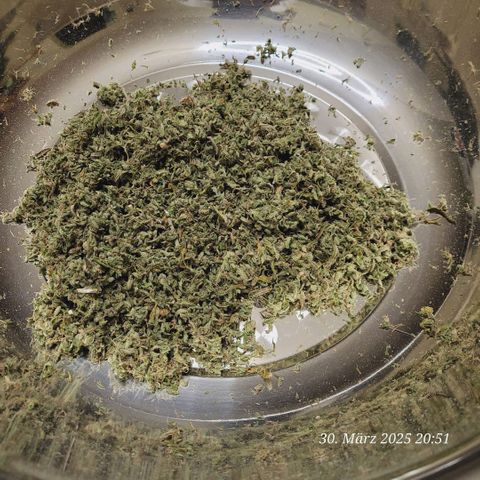 Lockdown Kloni growlog photo: Das ist noch der Trimm der Lockdown und die ist fertig 