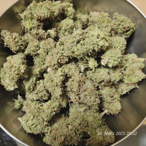 Lockdown Kloni growlog photo: Noch eine Schüssel mit herrlichen Buds