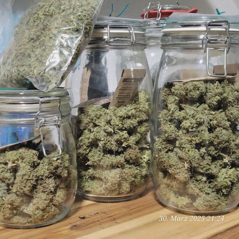 Lockdown Kloni growlog photo: Lets go , die Aushärtung hat begonnen