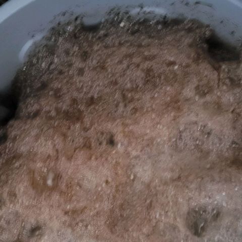 Gelato growlog photo: Nach 17 Stunden der Belüftung des Kompost Tee hat sich sehr viel Schaum gebildet