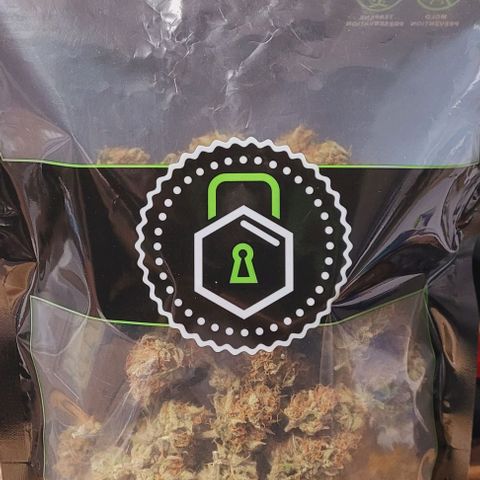 Super Paule Lemon Hase #2 growlog photo: Fertig getrimmt und diesmal im Grove Bag zur Aushärtung