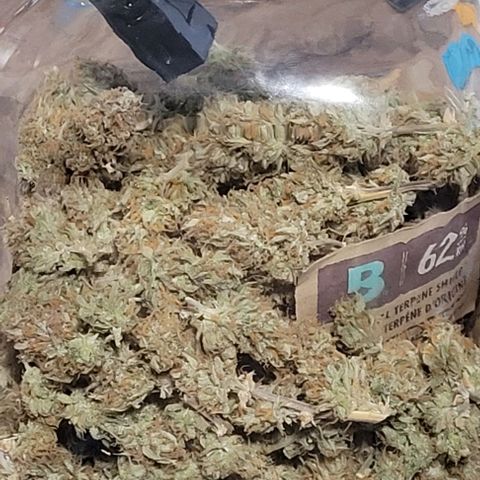 Gelato growlog timeline photo