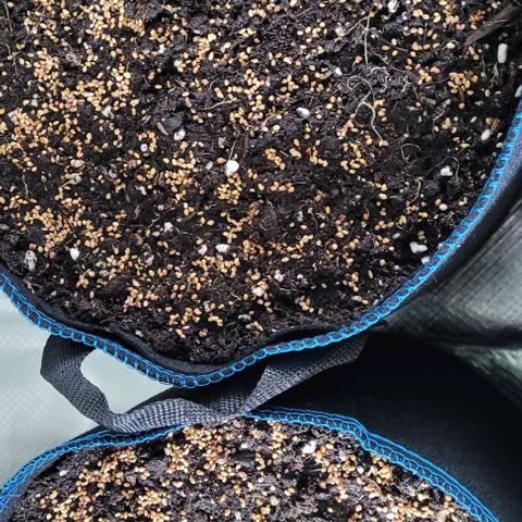 Mexy growlog photo: Auch hier der Topf fertig