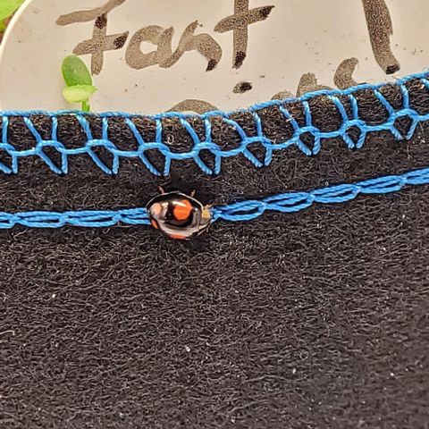 Fast Diesel growlog photo: Leben ist in u auf der Erde