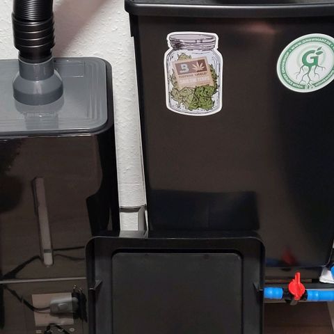 Mexy growlog photo: Wassertank gereinigt u Frisch befüllt mit 45 l Wasser u 10 Tropfen Hesi Super Vit