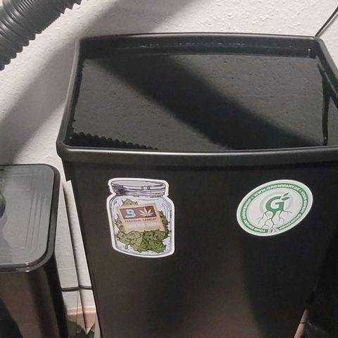 Mexy growlog photo: Ging schneller als Gedacht und wieder war der Tank leer und damit schnell etwas Gereinigt und mit 45 l neu Befüllt . Dazu eine Prise Bittersalz u 2 Prisen Calciumsulfat Dihydrat und 9 Tropfen Hesi Super Vit. Nun kann das bis Morgen auf Zimmertemp kommen und das Wasser etwas aus Dampfen u ab Morgen, Hahn auf