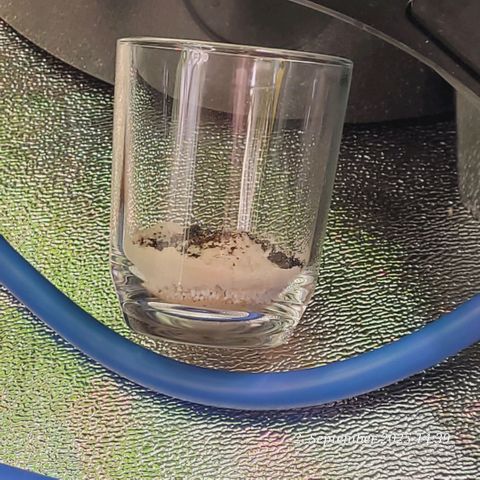 Fast Diesel growlog photo: Ein Glas zum Top Dress für jeden Topf 1 mit frischen Nährstoffen auf die Erde als Zufutter für Bodenbakterien