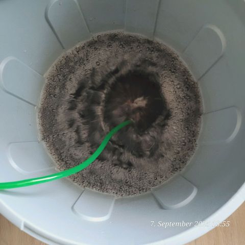 Fast Diesel growlog photo: Komposttee zum Beleben der Erde heute wieder gestartet, aktiv Belüftet