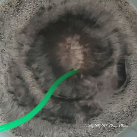 Fast Diesel growlog photo: Komposttee zum Beleben der Erde heute wieder gestartet, aktiv Belüftet