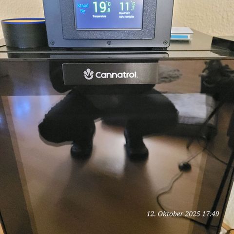 Fast Diesel growlog timeline photo