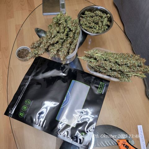 Fast Diesel growlog photo: Nun wird zart nach getrimmt u kommt in ein Grove Bag