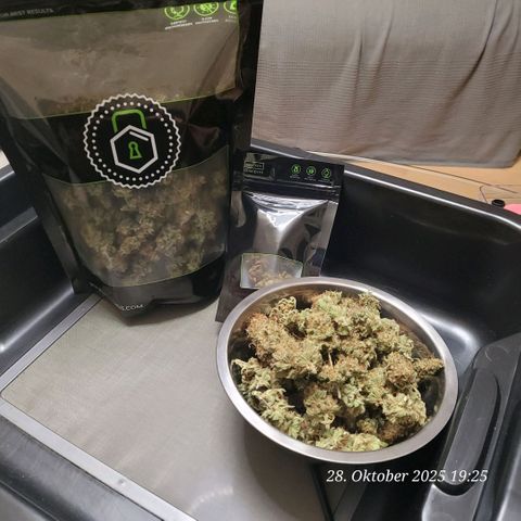 Pearly of Jamaica growlog timeline photo