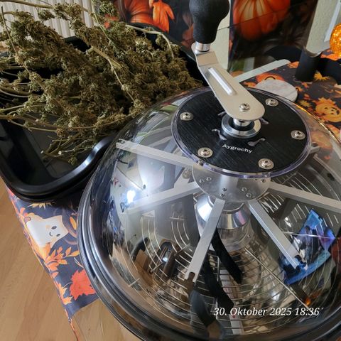 Mexy growlog photo: Lets go , oder , erst mal eine Rauchen damit es easy von Hand läuft