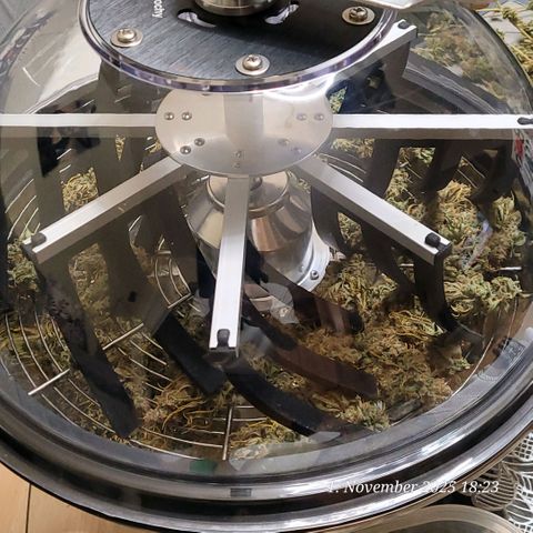 Mexy growlog photo: Die letzte Kurbelung