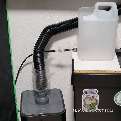 BubbleGum #2 growlog photo: Heute dann mal den Blumat Tank platziert und die Hauptleitung ins kleine Zelt verlegt