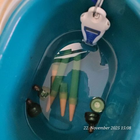 BubbleGum #2 growlog photo: Befüllen der Blumat mit PH 7,2,
Erster Ansatz zum Einbringen in die Erde
